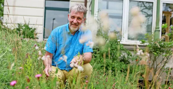 So übersteht ein Naturgarten in Benthe die Trockenheit trotz Gießverbot