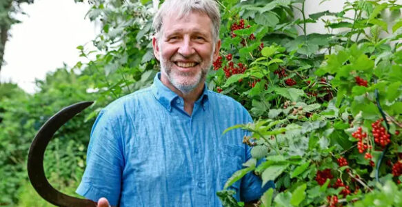 So wird Ihr Garten insektenfreundlich – zu Besuch bei Ulrich Schmersow in Benthe
