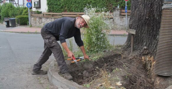 „Der Baum kann stehen bleiben!“
